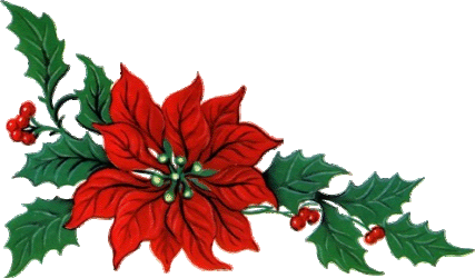 クリスマスの象徴 ポインセチアの花言葉 英語名 由来は 春夏秋冬