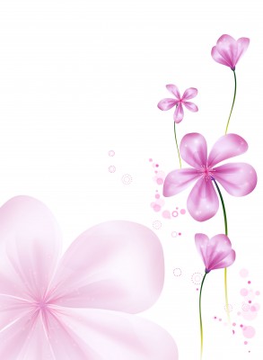 すみれ 菫 全5色別での花言葉 由来まとめ 英語や漢字も 春夏秋冬