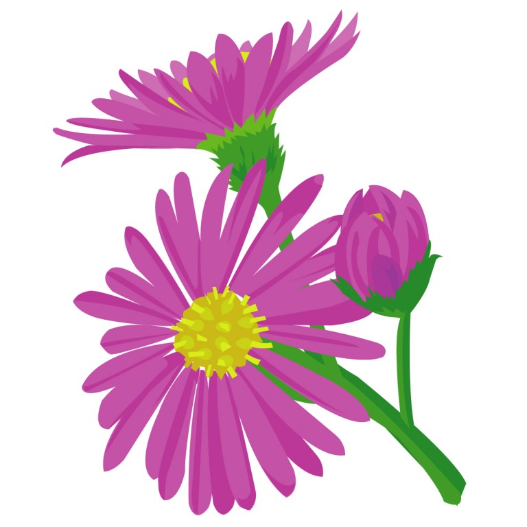 紫苑の花言葉 英語名 由来は 鬼の感動が由来 春夏秋冬