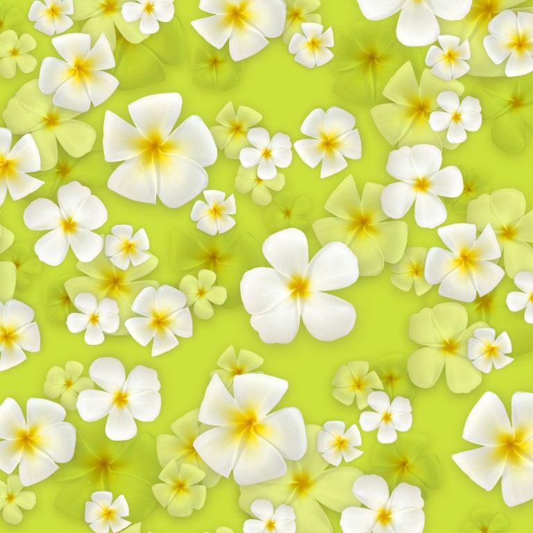 プルメリアの花言葉 英語名は Alohaの由来の花 春夏秋冬