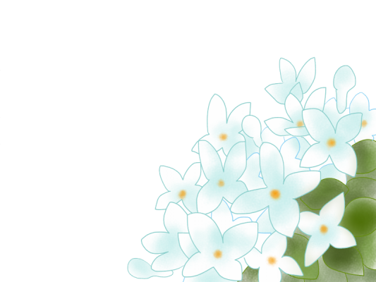 ブバルディアの花言葉 英語名は その由来も紹介 春夏秋冬
