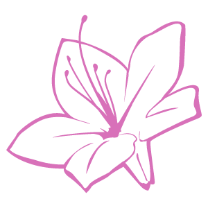 サツキの花言葉 英語名は その名前の由来とは 春夏秋冬