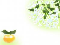 柚子 ゆず の英語名は４つ ネイティブが使うのはどれ 春夏秋冬